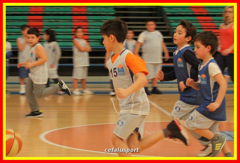 170317 basket 013_tn.jpg